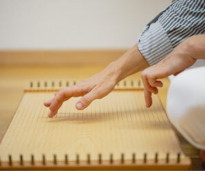 Behandlungsmethode Klang - Monochord Seitenansicht - Lebensfluss-Behandlung